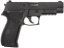 SIG Sauer P226, ABS, GBB, ACM