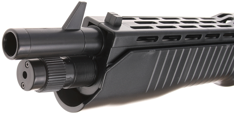 Franchi SPAS 12, ASG