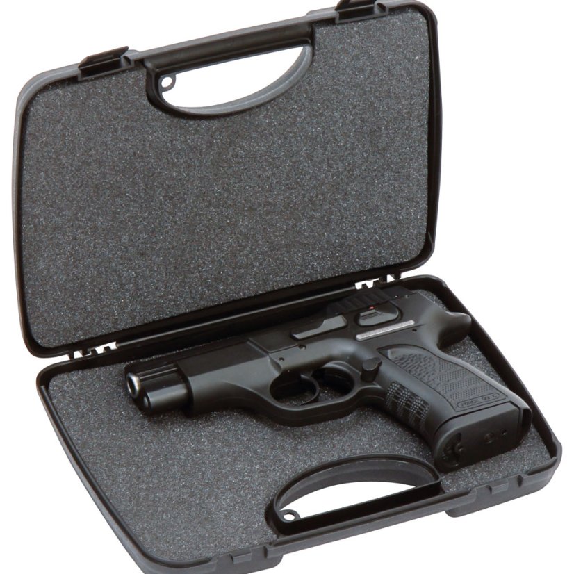 Transport case, 23,5x16x4,6cm, 2038, Negrini