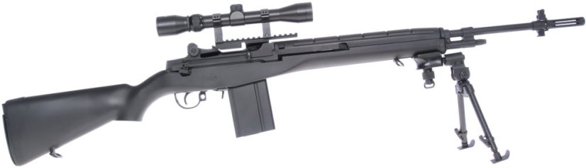 M14, black, bipod, scope, AGM, MP008
