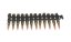 Cartridge belt M249, ACM
