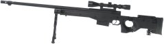 AW .338, black, Gas, bipod, scope, Well, G96D