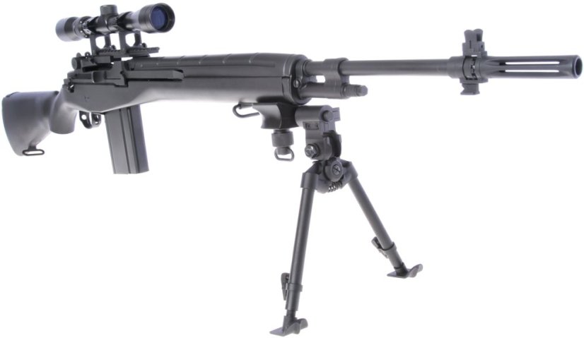 M14, black, bipod, scope, AGM, MP008