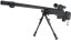 AW .338, black, Gas, bipod, scope, Well, G96D