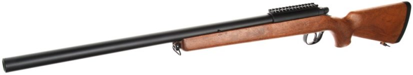 VSR-10, wood, AGM