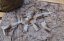 Camo egyedi M4 SOPMOD, 160 m/s, AirsoftGuns, CM.007