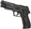 SIG Sauer P226, ABS, GBB, ACM