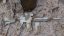 Camo egyedi KAC SR-15, 150 m/s, AirsoftGuns, E&C