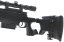 AW .338, black, Gas, bipod, scope, Well, G96D