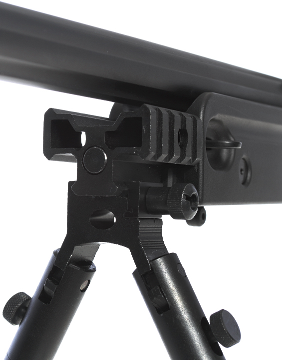 AW .338, black, Gas, bipod, scope, Well, G96D