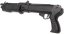 Franchi SPAS 12, ASG