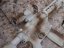 Camo egyedi M4 SOPMOD, 160 m/s, AirsoftGuns, CM.007