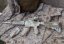 Camo egyedi M4 SOPMOD, 160 m/s, AirsoftGuns, CM.007