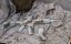 Camo egyedi M4 SOPMOD, 160 m/s, AirsoftGuns, CM.007