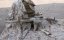 Camo egyedi M4 SOPMOD, 160 m/s, AirsoftGuns, CM.007